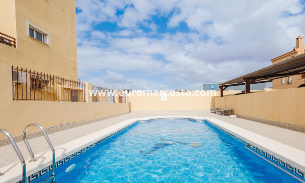 Venta - Apartamento / piso - Torrevieja - TORREVIEJA