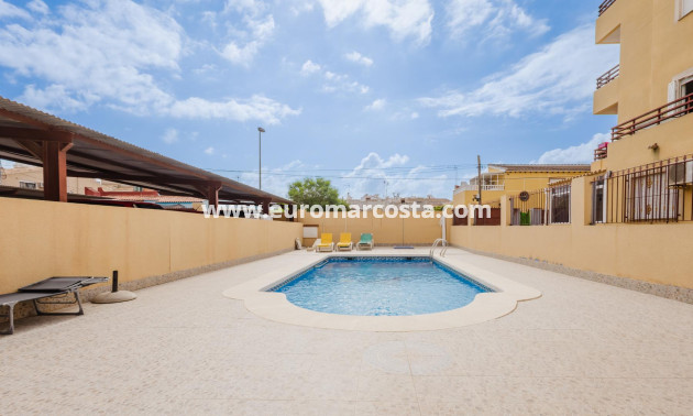 Venta - Apartamento / piso - Torrevieja - TORREVIEJA