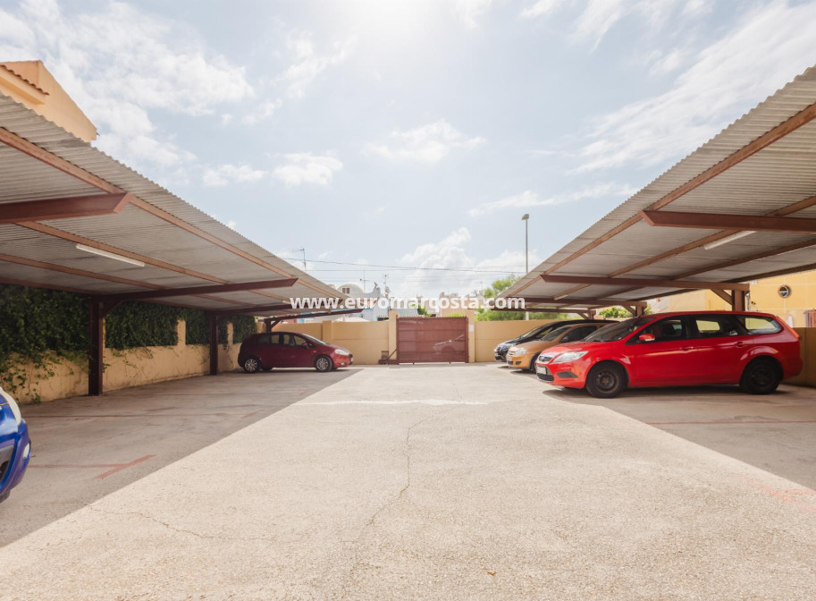 Venta - Apartamento / piso - Torrevieja - TORREVIEJA