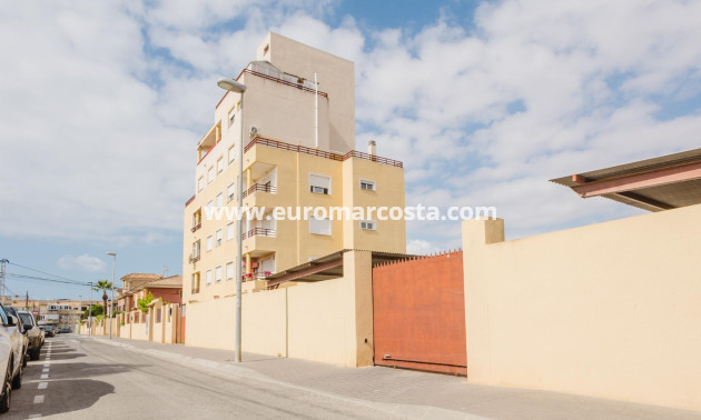 Venta - Apartamento / piso - Torrevieja - TORREVIEJA