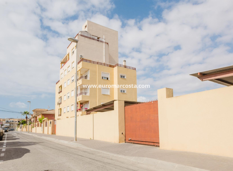 Venta - Apartamento / piso - Torrevieja - TORREVIEJA