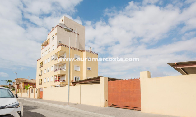 Venta - Apartamento / piso - Torrevieja - TORREVIEJA