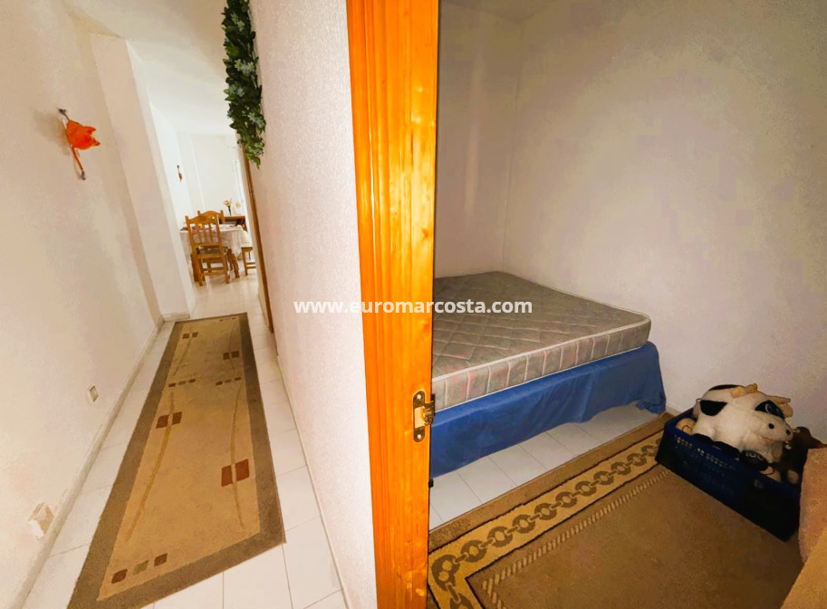 Venta - Apartamento / piso - Guardamar del Segura