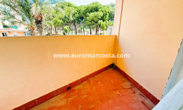 Venta - Apartamento / piso - Guardamar del Segura
