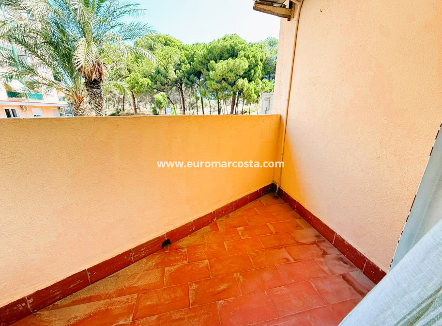 Venta - Apartamento / piso - Guardamar del Segura