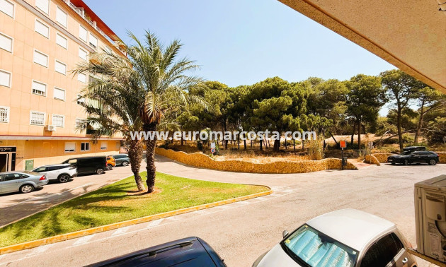 Venta - Apartamento / piso - Guardamar del Segura