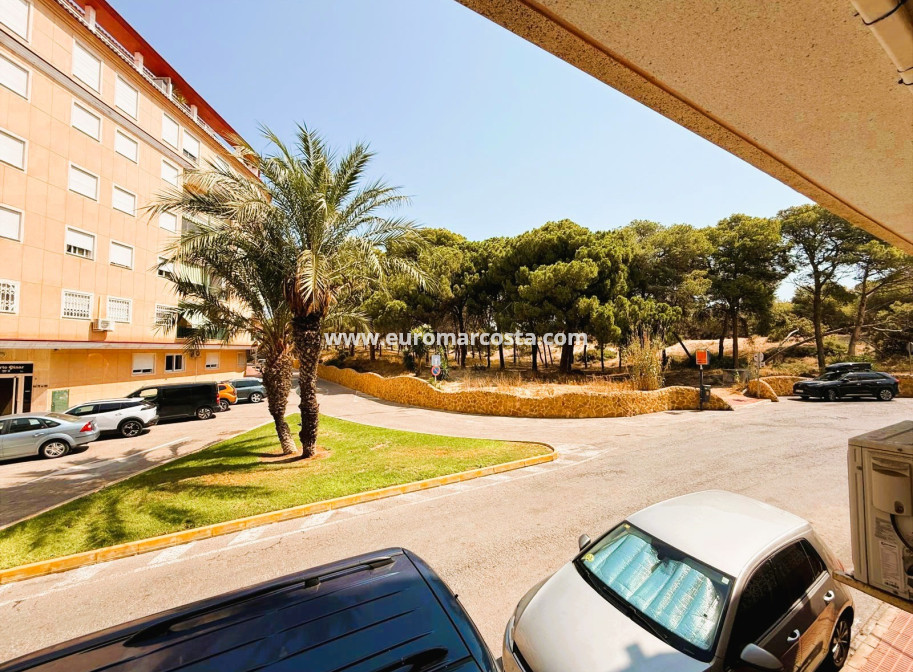 Venta - Apartamento / piso - Guardamar del Segura