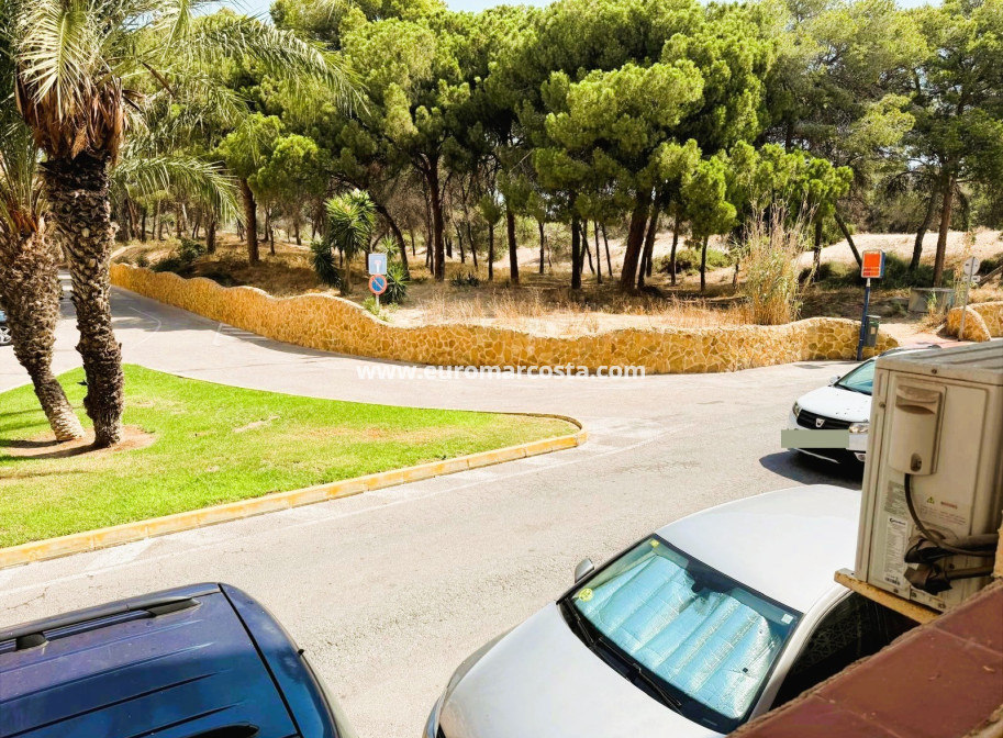 Venta - Apartamento / piso - Guardamar del Segura