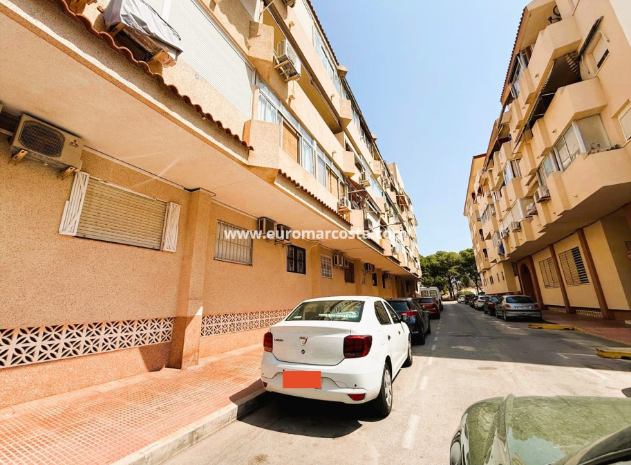 Venta - Apartamento / piso - Guardamar del Segura