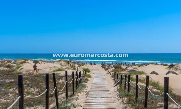 Venta - Apartamento / piso - Guardamar del Segura
