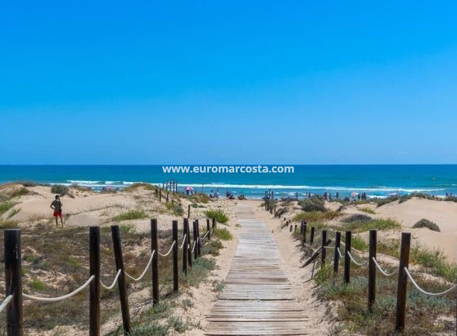 Venta - Apartamento / piso - Guardamar del Segura