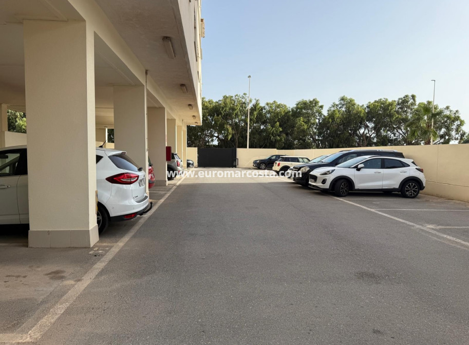 Objekte zum Wiederverkauf - Ático Dúplex - Guardamar del Segura