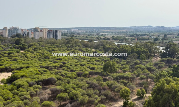 Objekte zum Wiederverkauf - Ático Dúplex - Guardamar del Segura