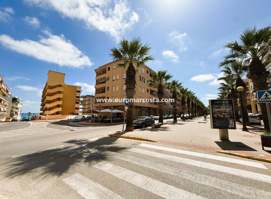 Sale - Apartment / flat - Guardamar del Segura
