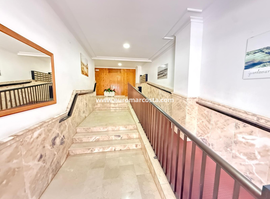 Sale - Apartment / flat - Guardamar del Segura