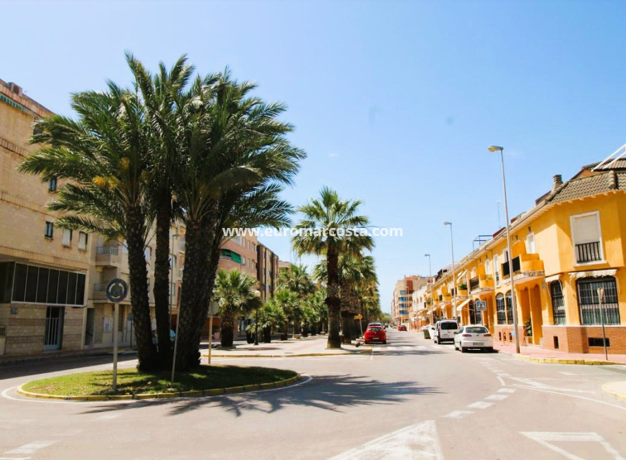 Sale - Apartment / flat - Guardamar del Segura