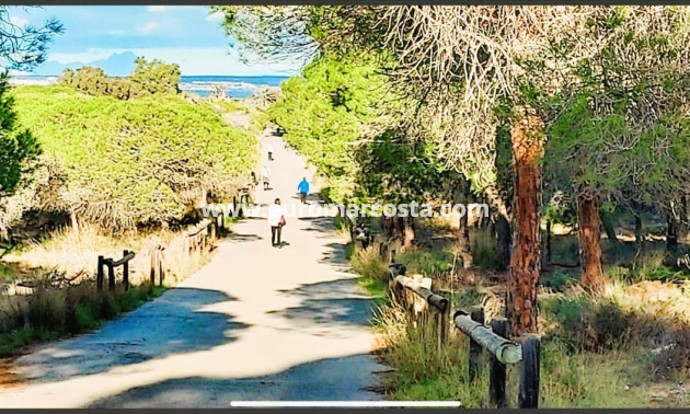 Sale - Apartment / flat - Guardamar del Segura