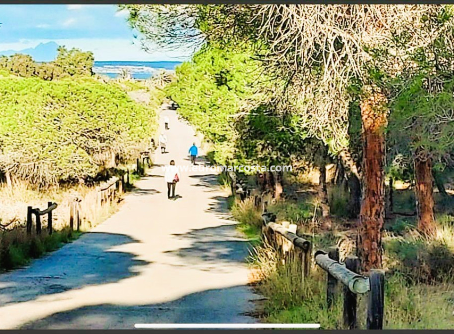 Sale - Apartment / flat - Guardamar del Segura