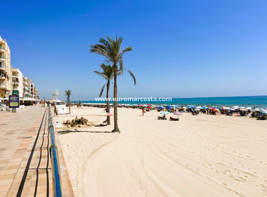 Sale - Apartment / flat - Guardamar del Segura