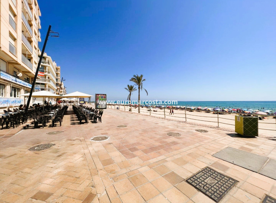 Sale - Apartment / flat - Guardamar del Segura