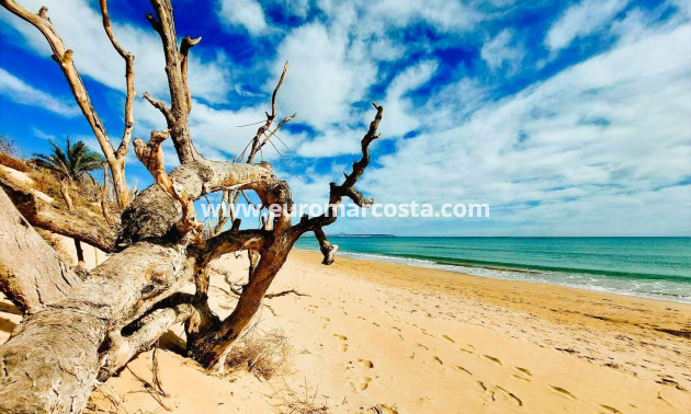 Sale - Apartment / flat - Guardamar del Segura