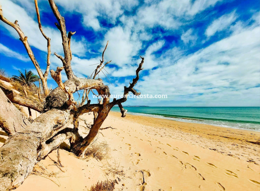 Sale - Apartment / flat - Guardamar del Segura