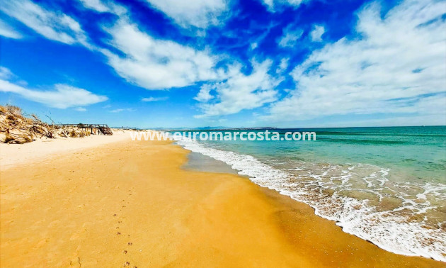 Sale - Apartment / flat - Guardamar del Segura