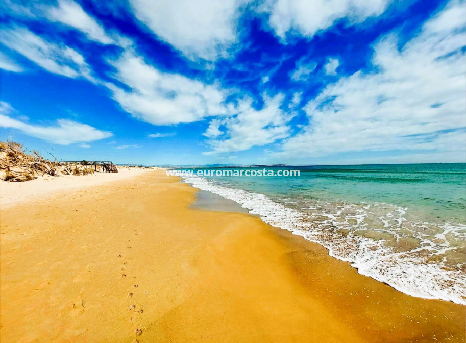 Sale - Apartment / flat - Guardamar del Segura