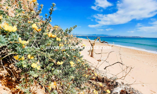 Sale - Apartment / flat - Guardamar del Segura