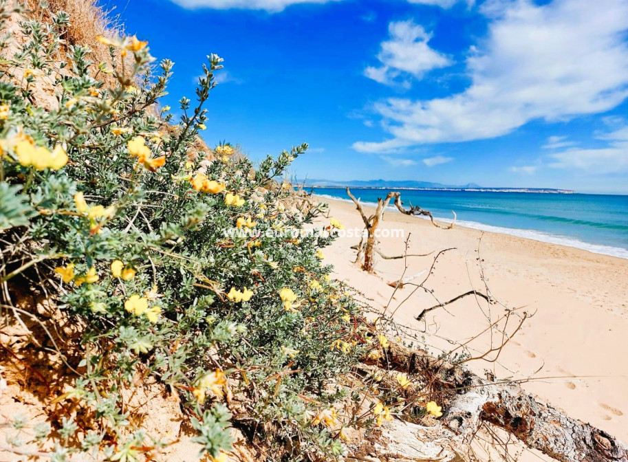 Sale - Apartment / flat - Guardamar del Segura