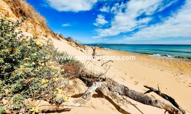 Sale - Apartment / flat - Guardamar del Segura