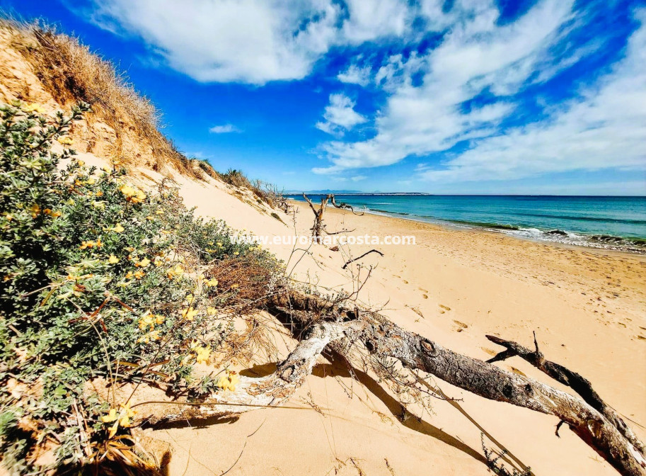 Sale - Apartment / flat - Guardamar del Segura