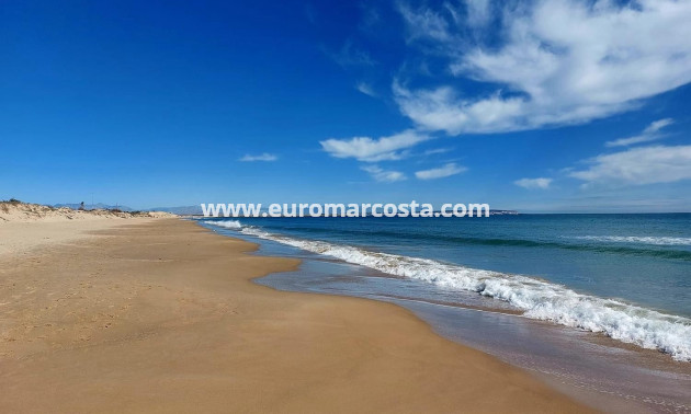 Sale - Apartment / flat - Guardamar del Segura