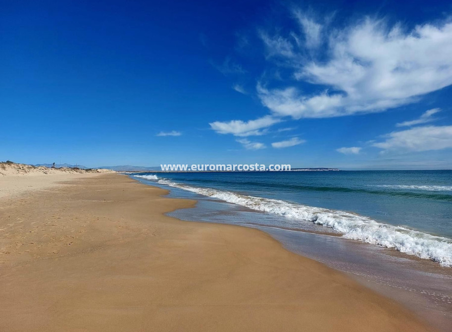 Sale - Apartment / flat - Guardamar del Segura