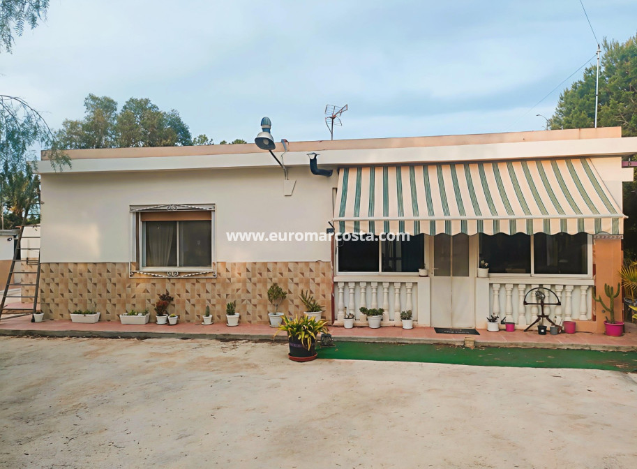 Objekte zum Wiederverkauf - Finca - Elche Pedanías - Elche/Elx