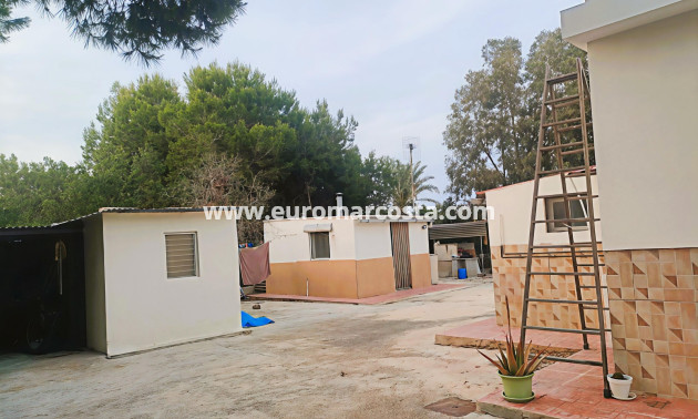 Objekte zum Wiederverkauf - Finca - Elche Pedanías - Elche/Elx