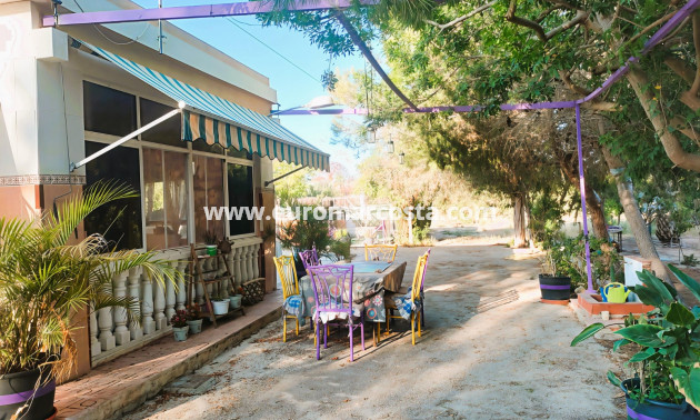 Objekte zum Wiederverkauf - Finca - Elche Pedanías - Elche/Elx