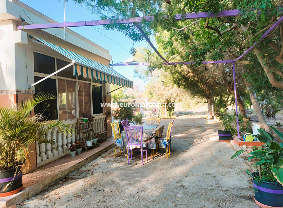 Objekte zum Wiederverkauf - Finca - Elche Pedanías - Elche/Elx
