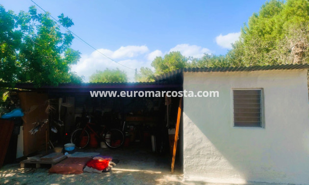 Objekte zum Wiederverkauf - Finca - Elche Pedanías - Elche/Elx