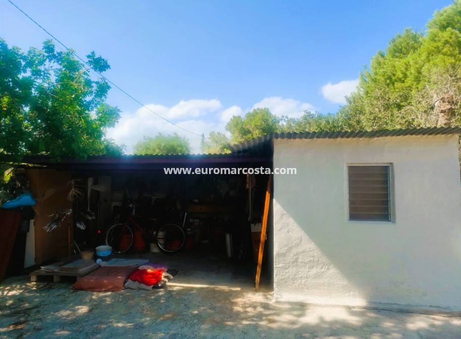 Objekte zum Wiederverkauf - Finca - Elche Pedanías - Elche/Elx