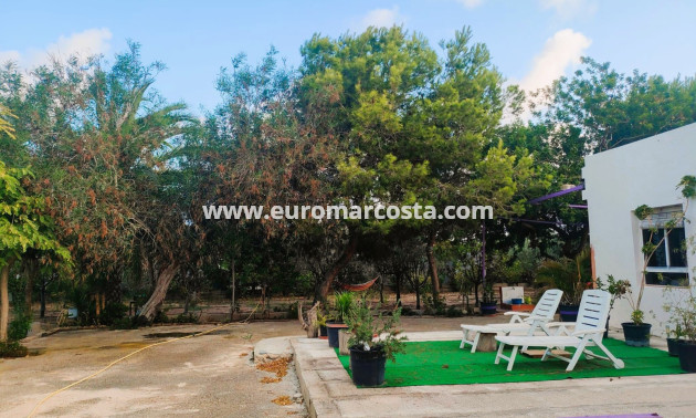 Objekte zum Wiederverkauf - Finca - Elche Pedanías - Elche/Elx