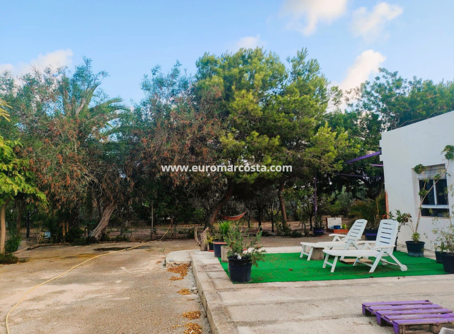 Objekte zum Wiederverkauf - Finca - Elche Pedanías - Elche/Elx