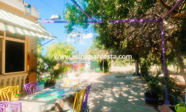 Objekte zum Wiederverkauf - Finca - Elche Pedanías - Elche/Elx