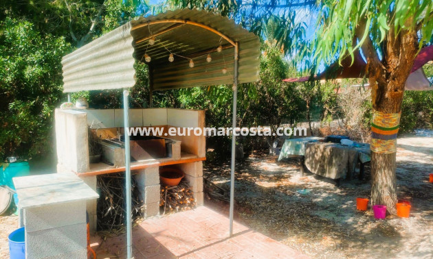 Objekte zum Wiederverkauf - Finca - Elche Pedanías - Elche/Elx