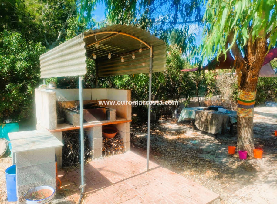 Objekte zum Wiederverkauf - Finca - Elche Pedanías - Elche/Elx