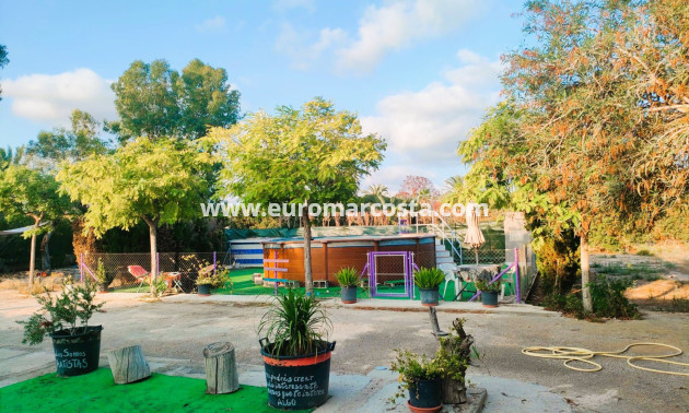 Objekte zum Wiederverkauf - Finca - Elche Pedanías - Elche/Elx