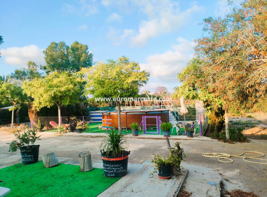 Objekte zum Wiederverkauf - Finca - Elche Pedanías - Elche/Elx