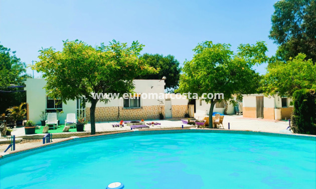 Objekte zum Wiederverkauf - Finca - Elche Pedanías - Elche/Elx