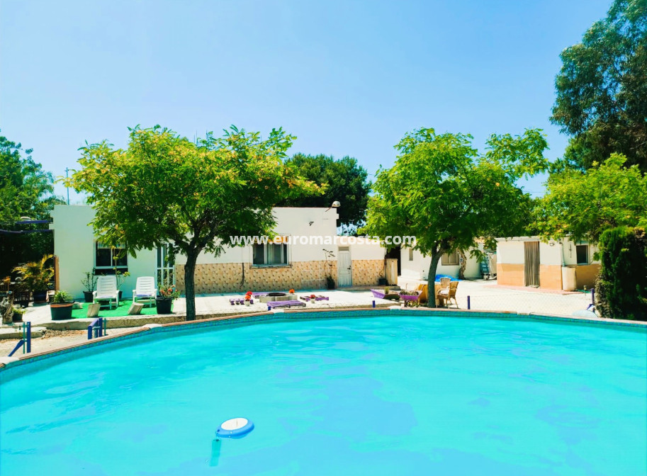 Objekte zum Wiederverkauf - Finca - Elche Pedanías - Elche/Elx