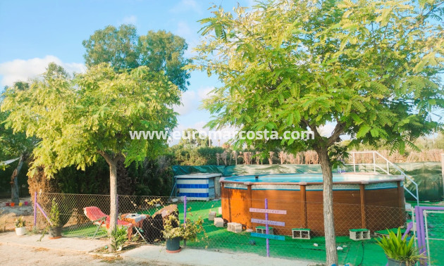 Objekte zum Wiederverkauf - Finca - Elche Pedanías - Elche/Elx